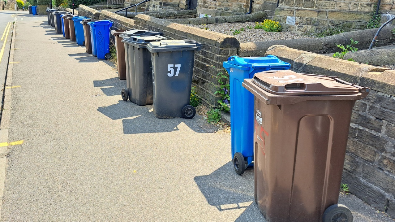 Domestic wheelie bins along pavements