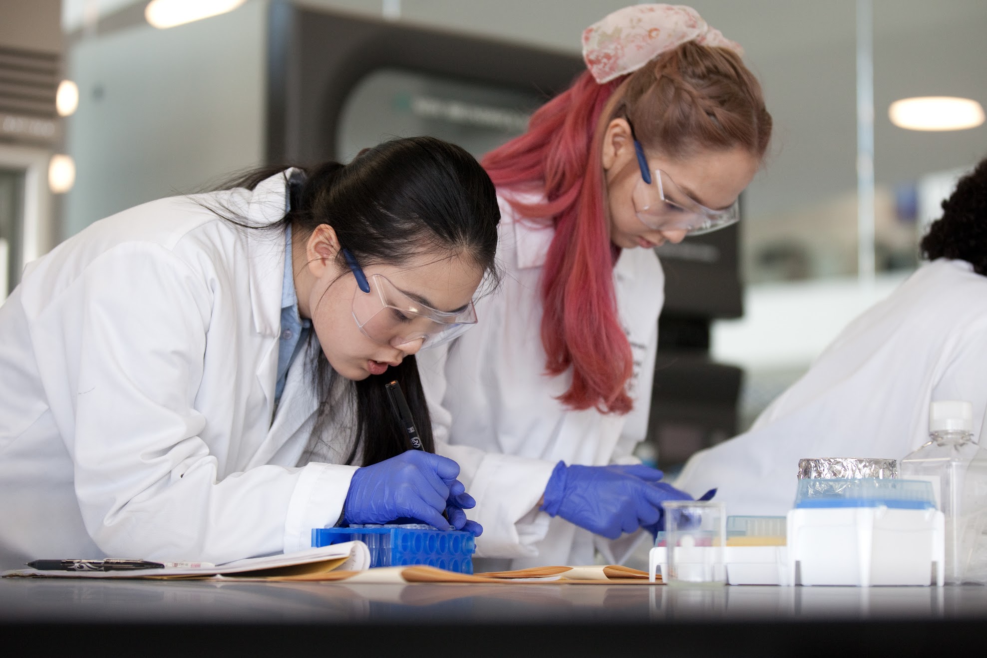 Students mark up samples in the lab